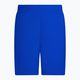 Pantaloni scurți de baie Nike Essential 5" Volley pentru bărbați, albastru NESSA560-494 2