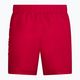 Pantaloni scurți de baie Nike Essential 5" Volley pentru bărbați, roșu NESSA560-614 2