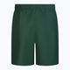 Pantaloni scurți de înot pentru bărbați Nike Essential 7' verde NESSA559 2