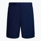 Pantaloni scurți de înot bărbați Nike Essential 7" Volley albastru marin NESSA559-440