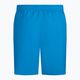 Pantaloni scurți de baie Nike Essential 5" Volley pentru bărbați, albastru NESSA560-406 2