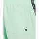 Pantaloni scurți de înot pentru bărbați Nike Logo Tape 5" Volley vapor green 6