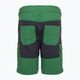 Pantaloni scurți de trekking pentru copii LEGO Lwpayton 300 verde 11010121 2