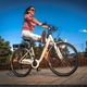 Bicicleta electrică Ecobike Traffic el. 13Ah Alb 1010105 11