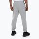 Pantaloni pentru bărbați Pitbull West Coast Track Pants Athletic grey/melange 3