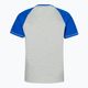 Tricou pentru bărbați Pitbull West Coast T-Shirt Boxing 210 royal blue 2
