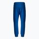Pantaloni pentru bărbați Pitbull West Coast Pants Alcorn royal blue 2