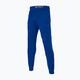 Pantaloni pentru bărbați Pitbull West Coast Durango Jogging 210 royal blue