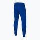 Pantaloni pentru bărbați Pitbull West Coast Durango Jogging 210 royal blue 2