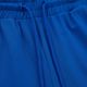 Pantaloni pentru bărbați Pitbull West Coast Durango Jogging 210 royal blue 3