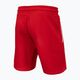 Pantaloni pentru bărbați Pitbull West Coast Terry Group Trackshorts red 2