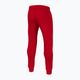 Pitbull West Coast pantaloni de jogging pentru bărbați New Hilltop roșu 4