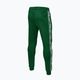 Pantaloni de trening pentru bărbați Pitbull West Coast Bandă Logo Terry Group verde 3