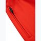 Pantaloni pentru bărbați Pitbull Saturn flame red 8