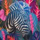 Waikane Vibe jachetă parka pentru femei albastru marin Zebra 5
