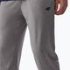 Pantaloni pentru bărbați 4F M350 rece rece, gri deschis, melange 3
