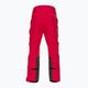 Pantaloni de schi pentru bărbați 4F M343 roșu închis 4