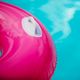 Roata de înot pentru copii AQUASTIC roz ASR-076P 5