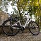 Ecobike LX300 Greenway bicicletă electrică albă 1010306 19