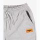 Pantaloni pentru bărbați PROSTO Tibeno gray 3