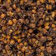 Carp Target amestec de cereale Maize-Tiger Nut-Congo-Rubella 25% + găleată 17 l 3