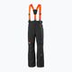 Pantaloni de schi pentru copii Helly Hansen No Limits 2.0 black