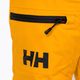 Pantaloni de schi pentru copii Helly Hansen Elements galben 41765_328 3
