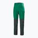 Pantaloni de trekking pentru bărbați Helly Hansen Verglas Tur 486 verde 63000 4