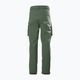 Pantaloni de trekking pentru bărbați Helly Hansen Move Qd 2.0 verde 53978_476 6