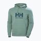 Bluză pentru bărbați Helly Hansen HH Logo Hoodie cactus 5