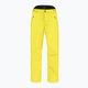 Pantaloni de schi pentru bărbați HEAD Summit galben 821622