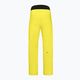 Pantaloni de schi pentru bărbați HEAD Summit galben 821622 2