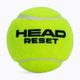 HEAD Reset Polybag mingi de tenis 72 buc. verde 575030 2