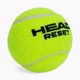 HEAD Reset Polybag mingi de tenis 72 buc. verde 575030 3