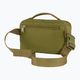 Borsetă Fjällräven Kanken 2 l foliage green 3