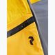 Pantaloni de schi pentru bărbați Peak Performance Gravity GoreTex 3L galben G78018080 12