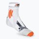 Șosete de alergare pentru bărbați X-Socks Marathon Energy 4.0 arctic white/trick orange 2