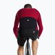 Tricou de ciclism bărbați ASSOS Mille GT primăvară toamnă Jersey C2 bolgheri roșu 6