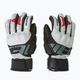 Mănuși de schi pentru bărbați Dainese Hp lily white/stretch limo 3