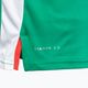 Tricou de tenis pentru bărbați Diadora SS TS verde DD-102.179124-70134 4