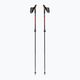 Fizan Revolution Pro Nordic walking poles negru S22 7532