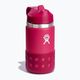 Hydro Flask Wide Mouth Straw Straw Lid And Boot 355 ml sticlă termică roz W12BSWBB623 2