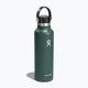 Sticlă de turism Hydro Flask Standard Flex 620 ml fir 2