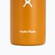 Sticlă termică fosilă Hydro Flask Wide Flex Sip 355 ml 3