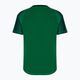 Tricou de antrenament pentru bărbați Joma Hispa III verde 101899 7