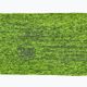 Bandă de cap BUFF Dryflx verde 118098.117.10.00 2