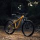 Bicicletă de munte Orbea Laufey H10 bej N25017LX 2023 8