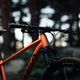 Orbea Onna 29 20 portocaliu mountain bike M21017NA 17