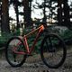 Orbea Onna 29 20 portocaliu mountain bike M21017NA 20