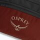 Osprey Daylite Waist 2L sac de rinichi roșu-gri 10004201 4